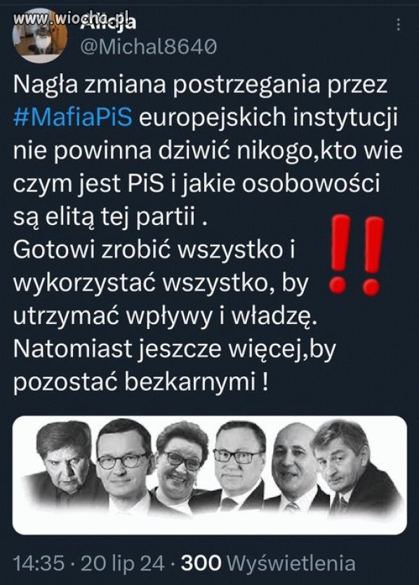 Pisowskie świnie