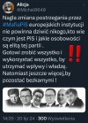Pisowskie świnie