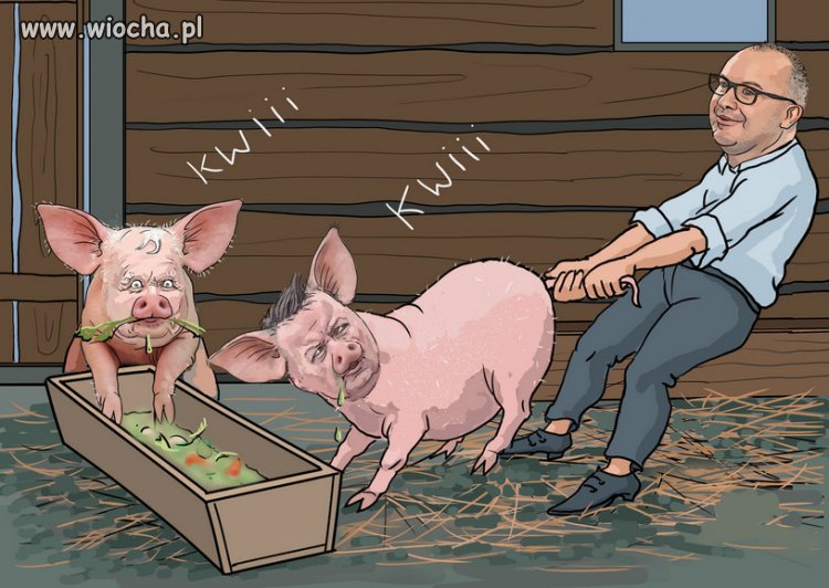 Trudno odgonic swinie PiSu od koryta...