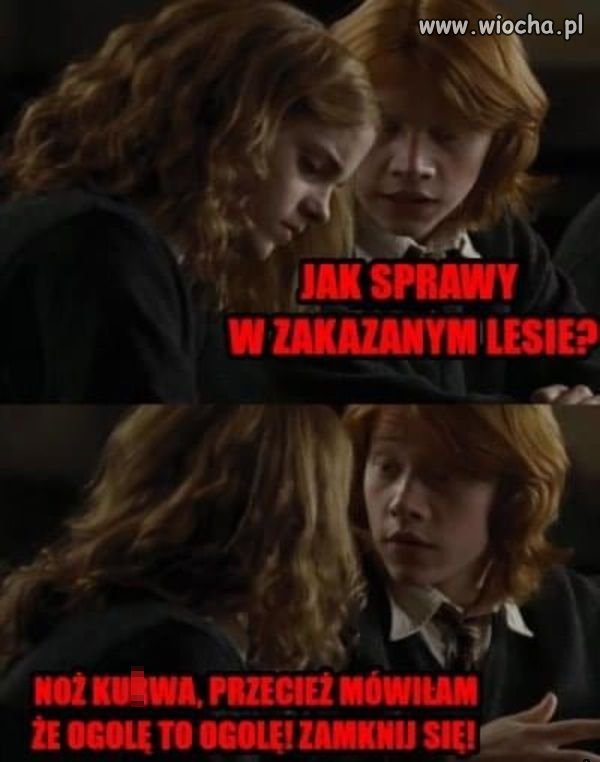 Harry Potter.