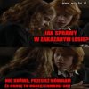 Harry Potter.