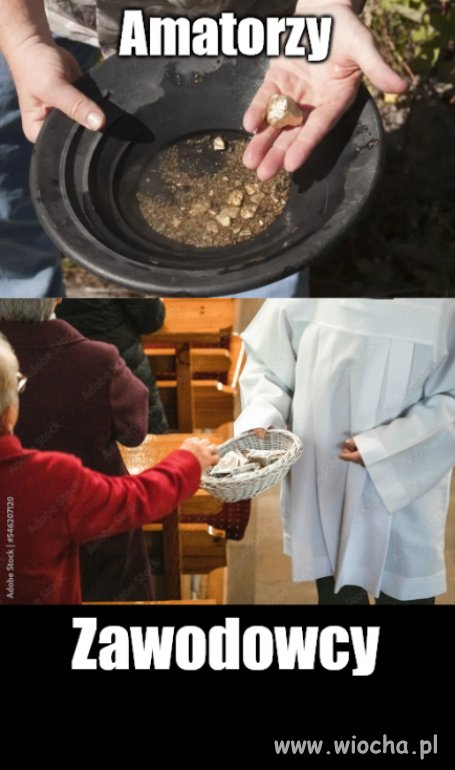 Złoto samo spływa