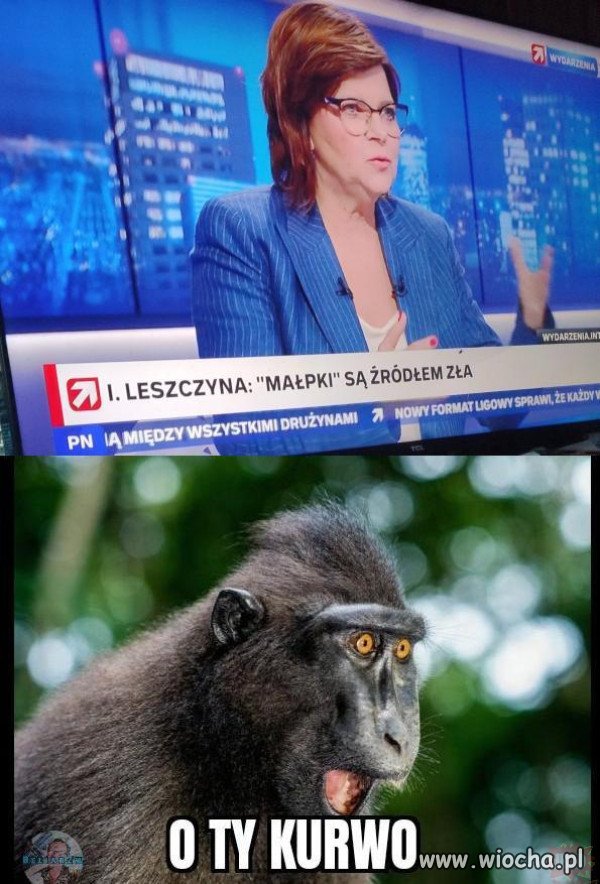 Małpki są dobre.