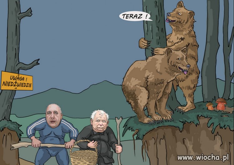 Gdzieś w Beskidach 