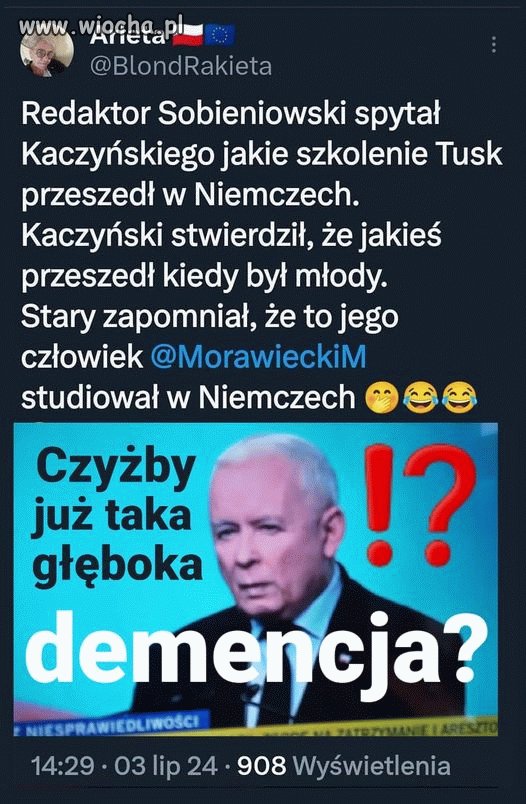 Stary grzyb i jego odloty
