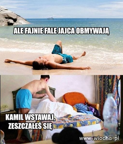 Morza szum, ptaków śpiew, złota plaża pośród drzew