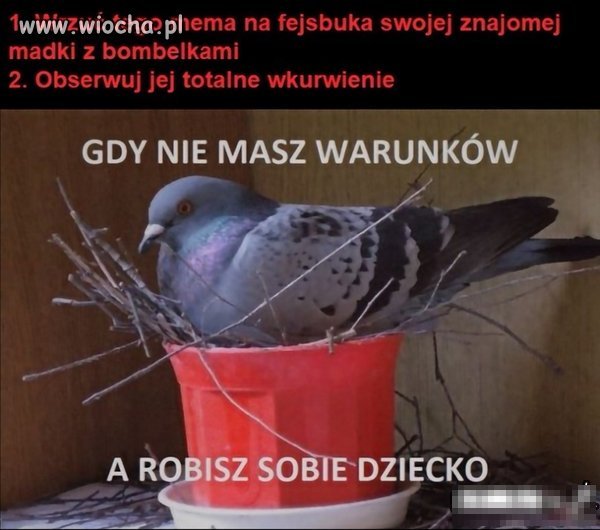 Gdy nie masz pracy ,mieszkania i pieniędzy 