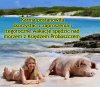 Nie wypada odmówić