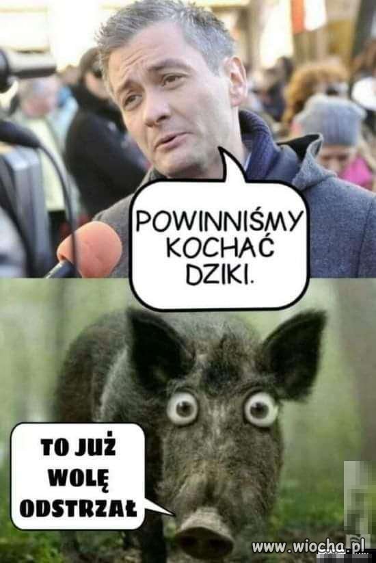 Świnuszenie