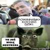 Świnuszenie