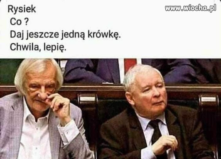 Rysiek się nie wyrabia z produkcją ...