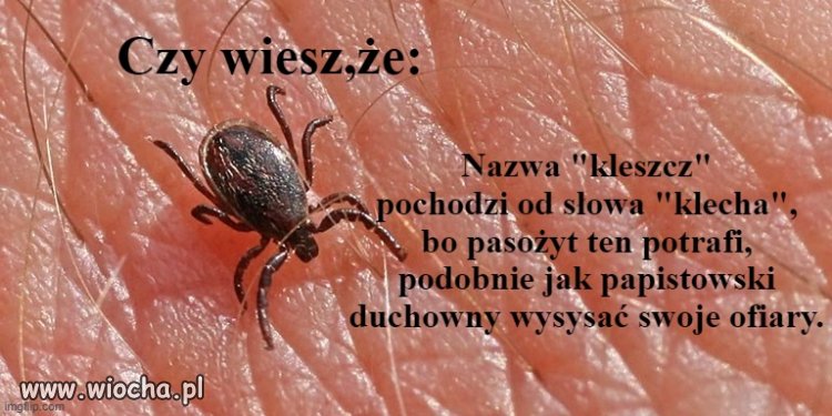Pewnie  tego nie wiedzieliście,