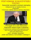 Przekrętów uczyli się od najlepszych specjalistów 