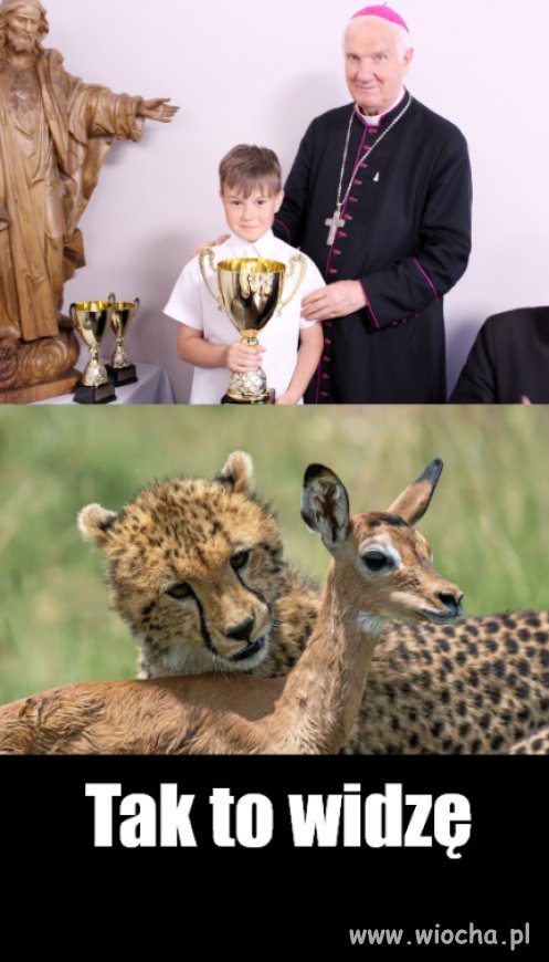 Trzymajcie dzieci od NICH z daleka