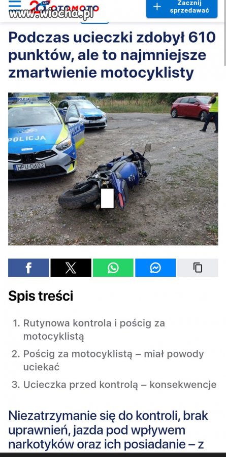 Mistrz.   