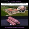 TO TYLKO POKUTA ZA ZŁODZIEJSTWO...