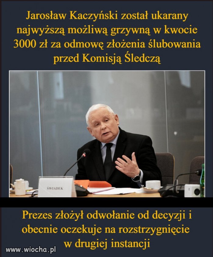 Wow, dyktatura praworządności...