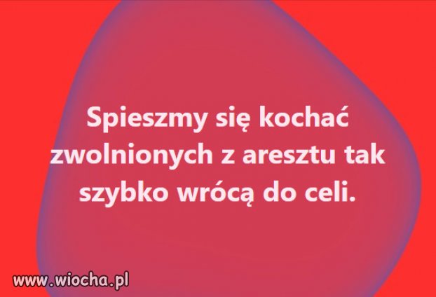 Miejsce złodziei Zjednoczonej Prawicy, jest w więzieniu!
