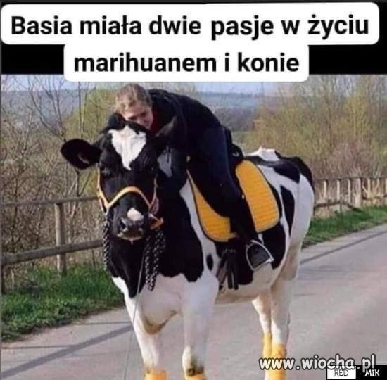 Basia ma prawdziwe pasje 