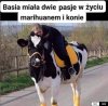 Basia ma prawdziwe pasje 