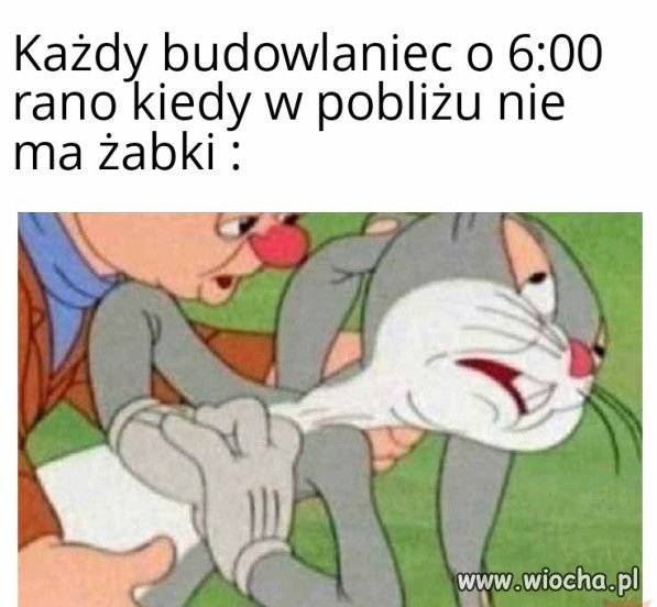 Tak to wygląda.