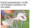 Tak to wygląda.