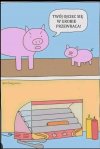 Czarny humor ze świnką ?
