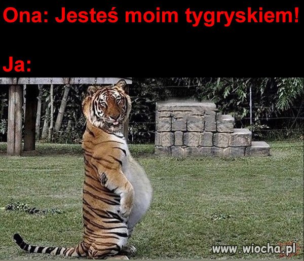 Ja o godzinie 4:30.