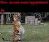 Ja o godzinie 4:30.
