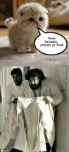 Jarosław to popularne imię.