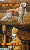 Poradnik do rozpoznawania goldenów