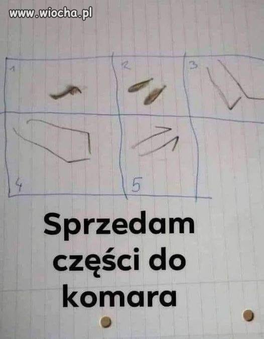 Motoryzacja.