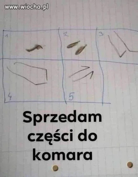 Motoryzacja.