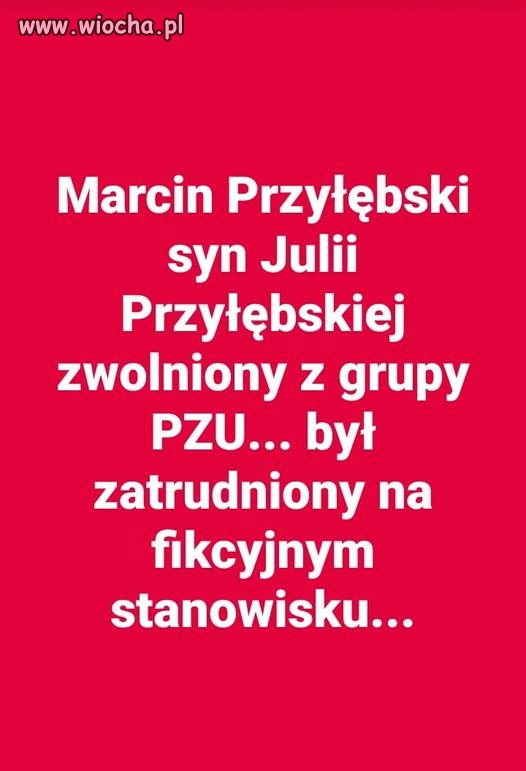 Pisowskie świnie