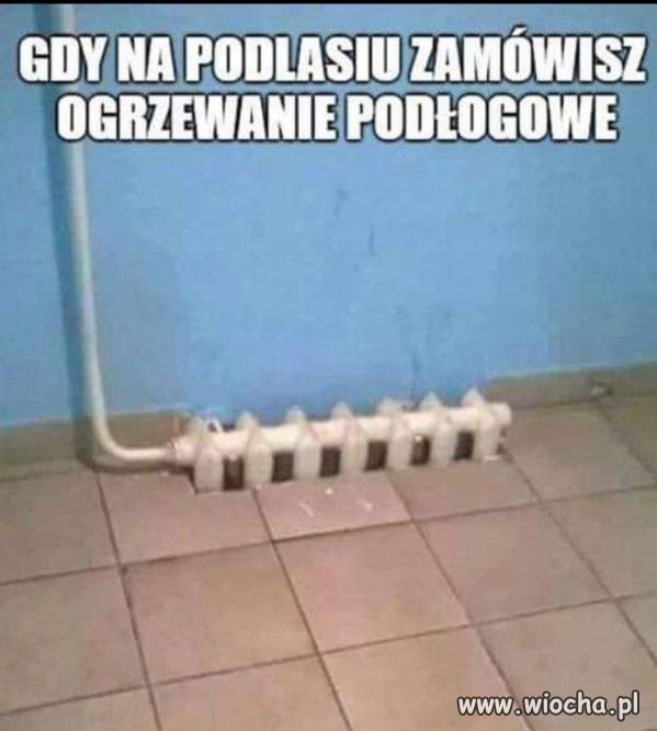Fachowcy z Podlasia.