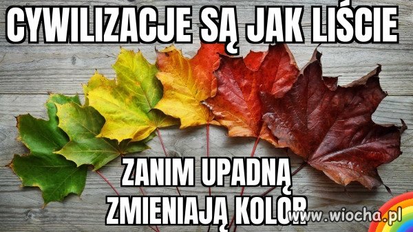 Coś w tym jest?