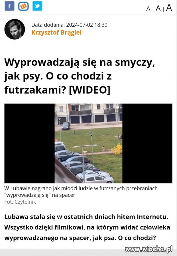 Świat schodzi na psy.
