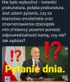 Ile kasy ta szopka Antosia kosztowała polskiego...