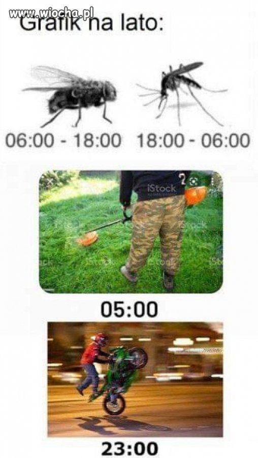 Tak to wygląda.
