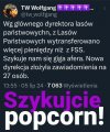To się w pale nie mieści