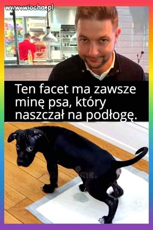 Czy też zwróciłeś na to uwagę ?