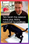 Czy też zwróciłeś na to uwagę ?