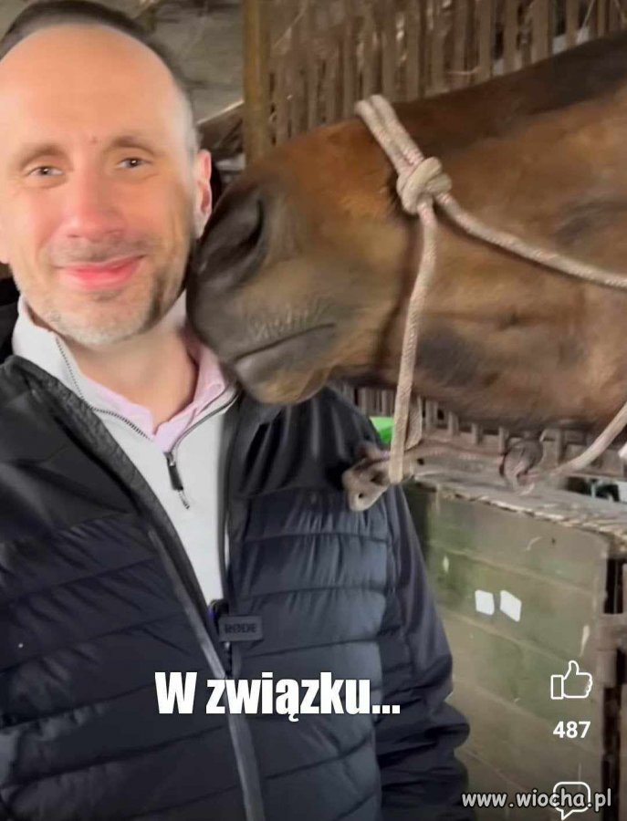 Z takiego związku powstaje hybryda - muł ... 