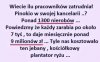 To się w pale nie mieści