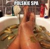 Polskie wczasy Kowalskiego, dla każdego cos miłego