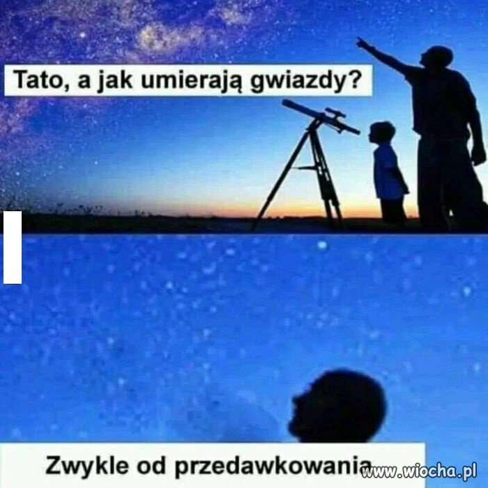 Prawda