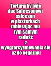 A pod celą nudno samemu...