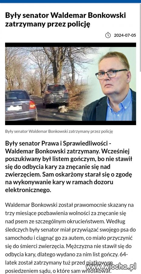 Kolejny pisior za kratami.