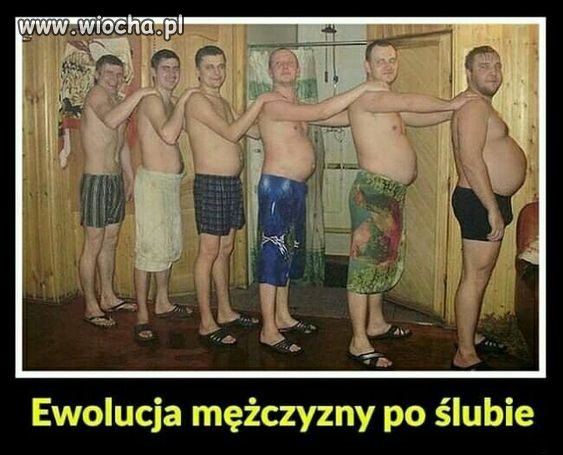 Ewolucja