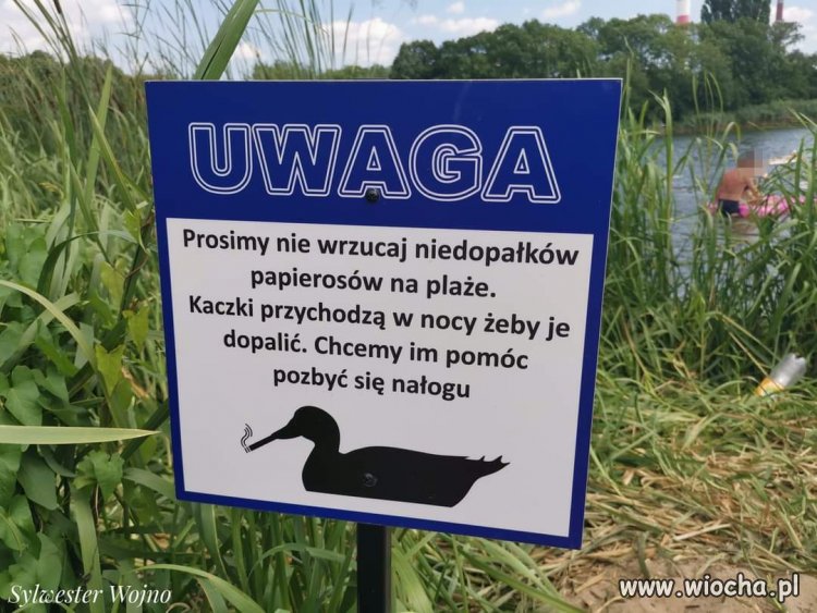 Ja bym im jeszcze 